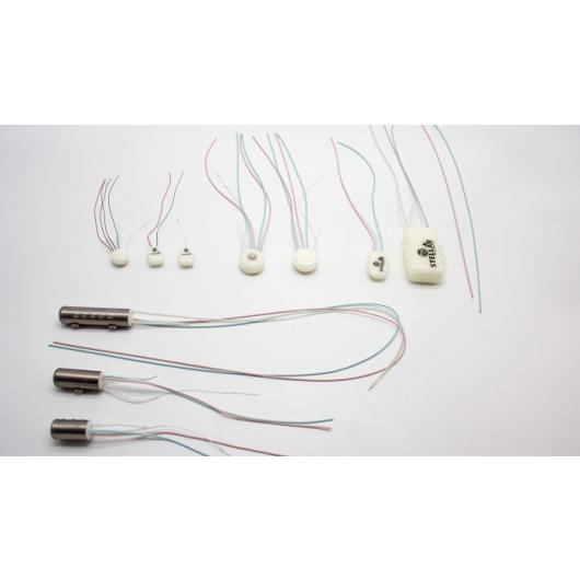 Stellar implants for rodents