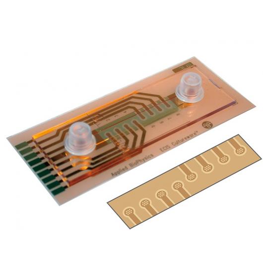 ECIS flow array 1 channel µ-Slide with 8x10e (1F8x10E) PC