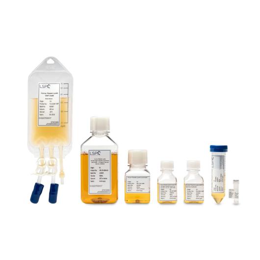 HPL-all-variations-7-vessels-e1565098415162