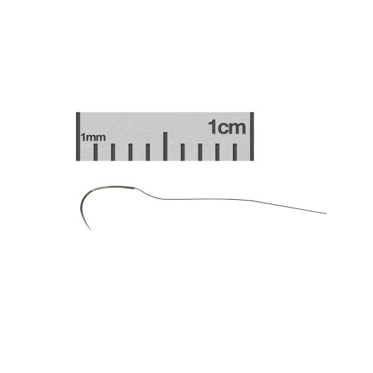12051-10-ruler-C.jpg