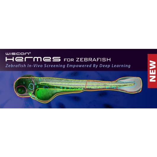 Zebrafish app banner2_Athena_software