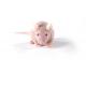 BALBc-_Nude_Mouse_417x235.jpg