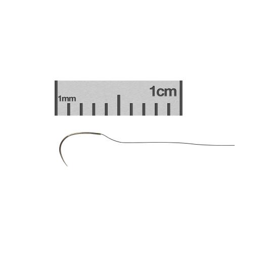 12051-11-ruler-C.jpg