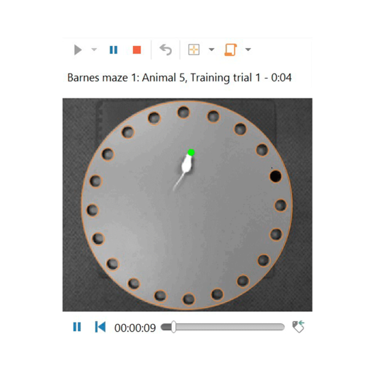 60000_ANY_Maze_srcreenshot_01