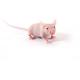 CD-1_Nude_Mouse_417x235_images.jpg