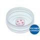 Micro-Insert 4 well fultrac in µ-dish 35 mm, high