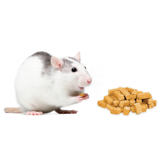 Altromin diet on Charles River recipe