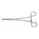 501717, Rochester-Carmalt Hemostatic Forceps, 20.0 cm, Straight