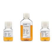 Human Serum AB, Male Only – Converted – USA – cGMP Grade – Bovine Thrombin