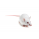 nrg_jax_640.png