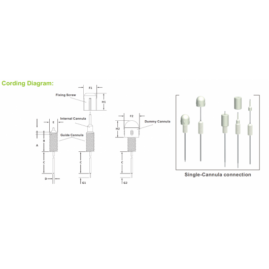 Cannula scheme
