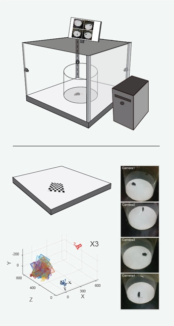 Picture-website-1.png