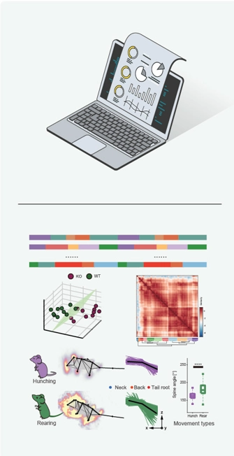 Picture-website-3.png