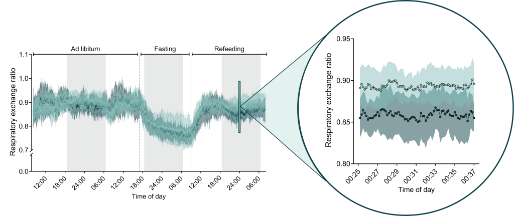 CaloSys-Graph-1-1024x431.png
